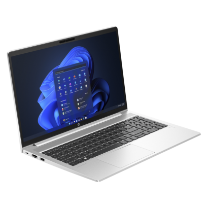 Ordinateur portable HP ProBook 450 15,6 pouces G10 (9G2N5ET)